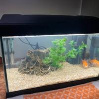 ACQUARIO DA 35LT senza pompa