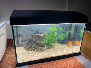 ACQUARIO DA 35LT senza pompa