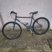 Bici mountain bike
