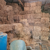 Ballette di prato naturale e paglia