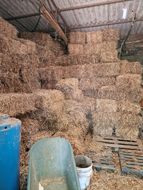 Ballette di prato naturale e paglia