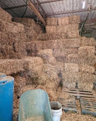 Ballette di prato naturale e paglia