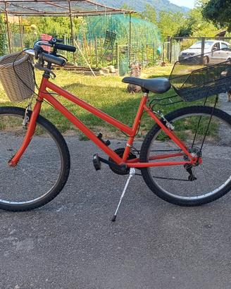 Bicicletta allroad 26''
