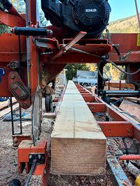 Segheria mobile woodmizer