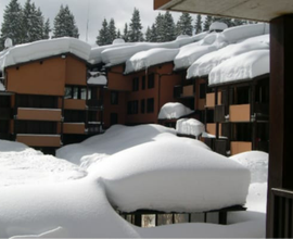 Vendita appartamento a Madonna di Campiglio,