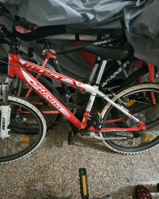 bicicletta