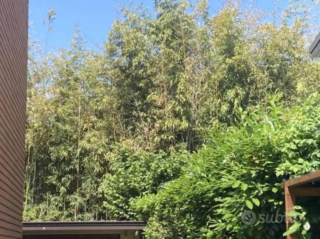 Immobile in asta di 82255 m² a Cremona - Vista 3