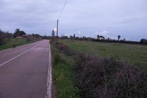 Gallipoli Terreno agricolo 14.000 mq