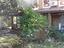Immagine 15