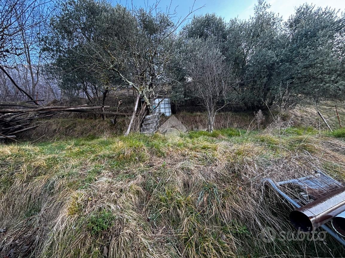 TER. AGRICOLO A LIERNA - Vista 5