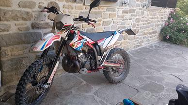 EC300 gas gas replica del 2011