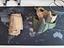Immagine 5