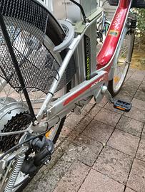 bicicletta elettrica Molari 
