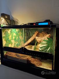 terrario vetro  exoterra 45/45/30