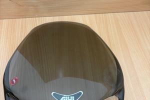 Cupolino parabrezza GSR 600