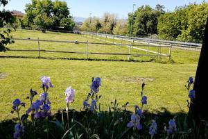 Piccolo centro equestre- maneggio