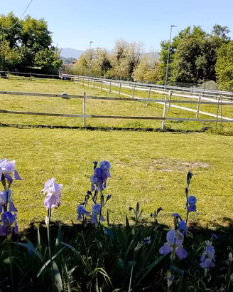 Piccolo centro equestre- maneggio