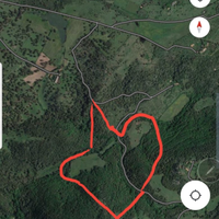 Sughereta alto reddito, pronta per l'estrazione