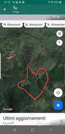 Sughereta alto reddito, pronta per l'estrazione