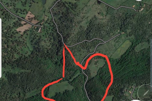 Sughereta alto reddito, pronta per l'estrazione