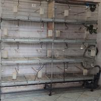 Gabbie da cova Borgovit