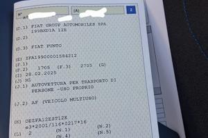 fiat punto evo 2009