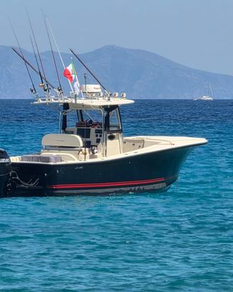 BARCA A MOTORE AL CUSTOM 30 - 2X300 SUZUKI DUAL PR