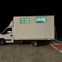 Trasporto cavalli patente B