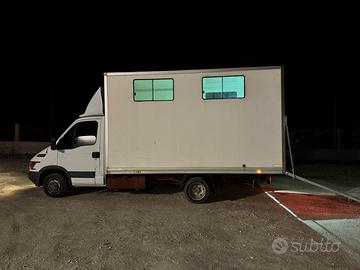 Trasporto cavalli patente B