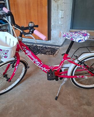 bicicletta 