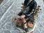 Immagine 5