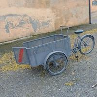 Bici 3 ruote con pianale cassonato