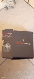 Pacco PIGNONI SRAM FORCE 11 _32