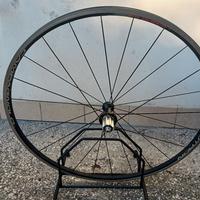 Campagnolo Neutron