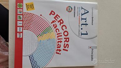 art.1  percorsi facilitati 