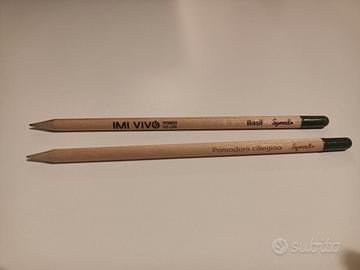 Matita Sprout x2 piantabile