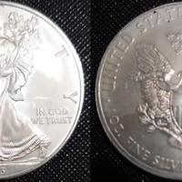 1 Moneta Argento - anno 2013 - USA Liberty 1 tipo