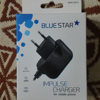 Caricabatteria Cellullare (Impulse Charger)