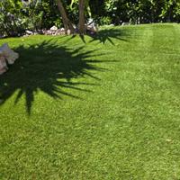 erba sintetica /artificiale  18€
