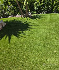 erba sintetica /artificiale  18€