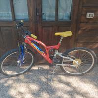Mountain Bike Bambino