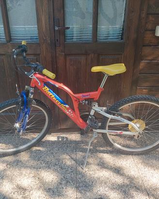 Mountain Bike Bambino