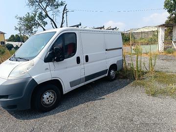 ducato cc 2000 115cv