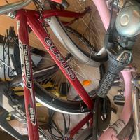 Bicicletta da uomo Esperia