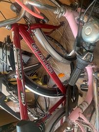 Bicicletta da uomo Esperia