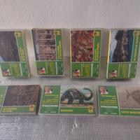 Lotto D - Videocassette VHS – IL PRIMO PARADISO