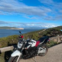 Suzuki GSR 600