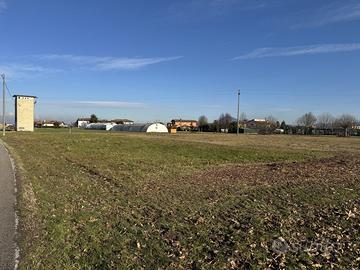 Terreno Agricolo Noventa Vicentina