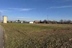 Terreno Agricolo Noventa Vicentina