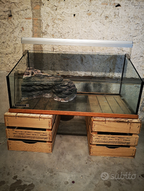 Acquaterrario Resina e Lampada